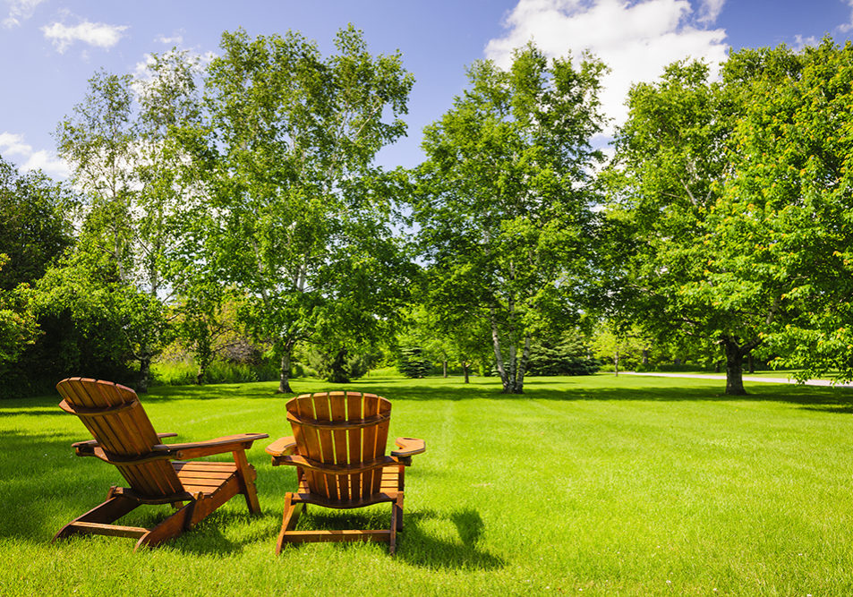 Two wooden adirondack chairs on lush green lawn with trees